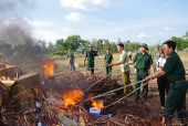Các lực lượng chức năng cùng châm lửa tieu hủy tang vật