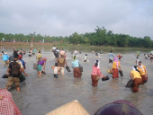 Ủy ban nhân dân tỉnh Bình Phước thuận chủ trương đưa các sản phẩm thuộc Chương trình “Mỗi xã một sản phẩm” OCOP lên sàn giao dịch  thương mại điện tử của Bưu điện Việt Nam