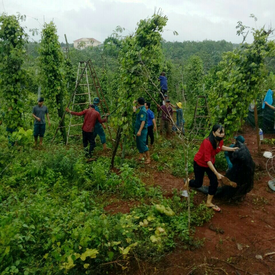 Đoàn viên công đoàn tham gia công tác Dân vận tại khu phố Ninh Thịnh - thị trấn Lộc Ninh