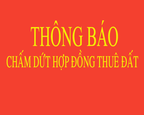 THÔNG BÁO Về việc chấm dứt hợp đồng thuê đất đối với hộ bà Bùi Thanh Thuỷ