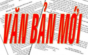 Đề cương sinh hoạt Ngày pháp luật tháng 8/2017: Quy định mới về tiêu chí đánh giá, phân loại công chức, viên chức