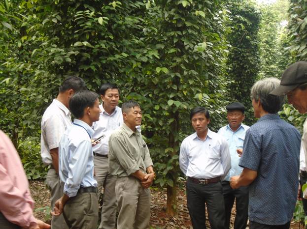 Hội Nông dân huyện Lộc Ninh tổ chức đoàn tham quan, học tập kinh nghiệm mô hình sản xuất, quản lý Hợp tác xã trồng Hồ tiêu sạch, bền vững tại huyện Cẩm Mỹ, tỉnh Đồng Nai